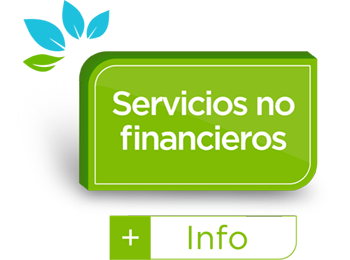 Servicios no financieros